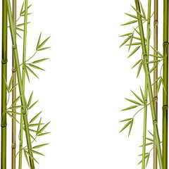 Frame made of bamboo branches. Vector illustration.