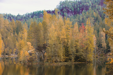 Forest with rocks and treen on north of Czech Republic