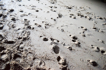 Footprints in the sand