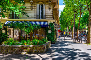 Fototapeta premium Boulevard Saint-Germain w Paryżu, Francja. Boulevard Saint-Germain to główna ulica Paryża.