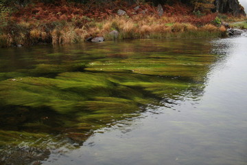 beautiful snowdonia and its nature, Wales, UK