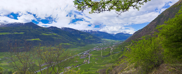 Fototapety na wymiar - Fototapeta24.pl