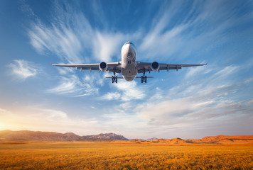 Fototapeta premium Airplane. Colorful landscape with passenger airplane is flying in the blue sky with clouds over grass field in mountain valley at sunset in summer. Passenger airplane is landing. Commercial aircraft