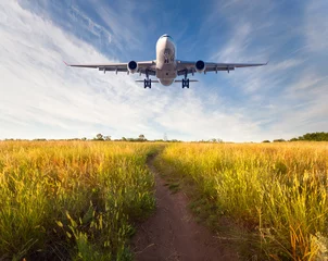 Fotobehang Chocoladebruin Airplane. Colorful landscape with passenger airplane is flying in the blue sky with clouds over yellow grass field with trail at sunset in summer. Passenger airplane is landing. Commercial aircraft  © den-belitsky
