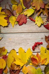 Obraz premium Autumn leaves on wooden boards