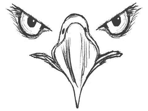 cool drawings of eagles