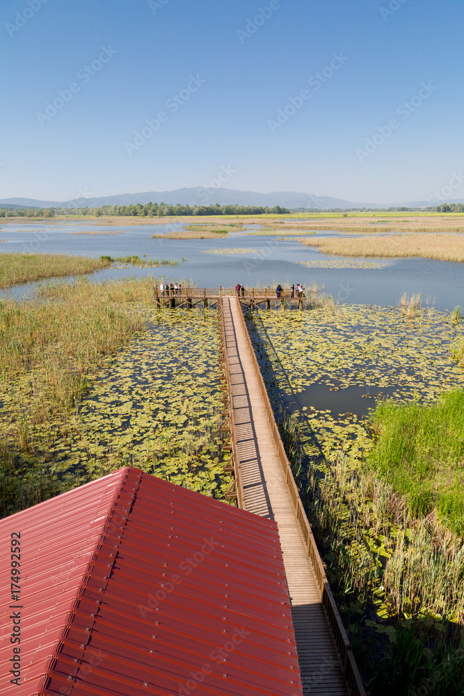 Canvas Prints Efteni Lake in Summer Day