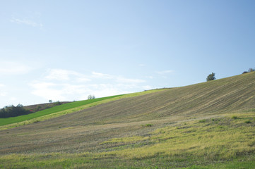 Fototapeta na wymiar Landscape in Montecchio (Marche, Italy)