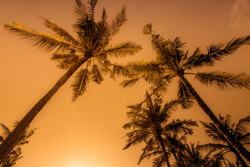 Fototapeta na wymiar Beautiful sunrise on a beach in Bali Indonesia with colourful sky as background
