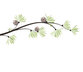 Vector branches pine
