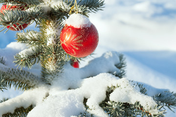winter landscape with Christmas fir tree decoration red ball and snow