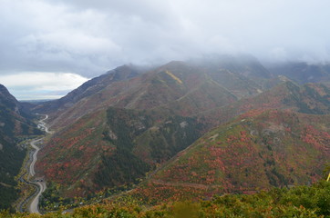 Naklejka premium Fall 2017