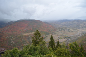 Fototapeta premium Fall 2017