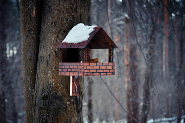 wooden birdhouse attached to a tree in winter forest