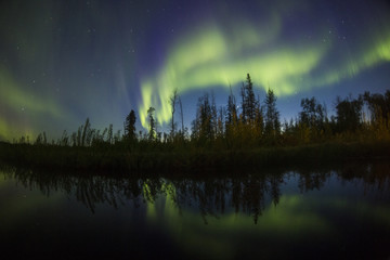 northern light aurora borealis