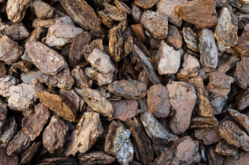 texture of wood bark pieces