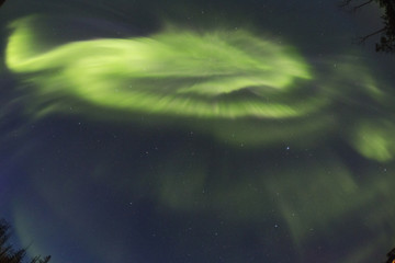 northern light aurora borealis