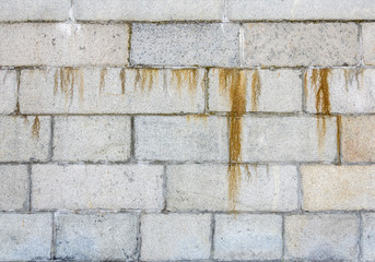 Fototapeta premium gray stone wall texture