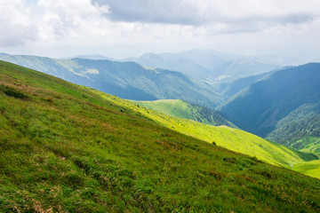 Obraz premium green mountains of Ukraine, Carpathians