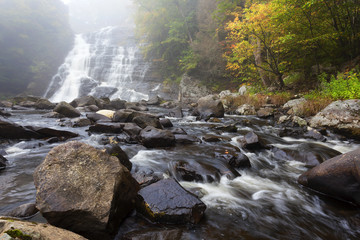Fog On Barberville Falls