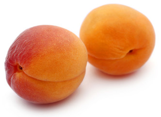Fresh apricots