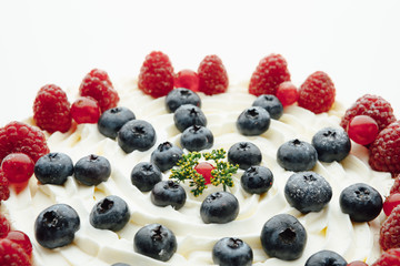 festive berries cake part, closeup view