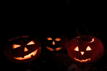 Scary Halloween pumpkins isolated on a black background. Scary glowing faces trick or treat.