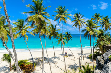 Fototapeta na wymiar Bottom Bay, Barbados - Paradise beach on the Caribbean island of Barbados. Tropical coast with palms hanging over turquoise sea. Panoramic photo of beautiful landscape.