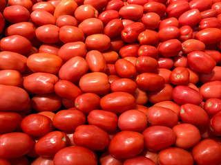 Bunch of Red Tomatoes