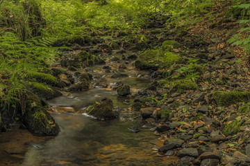 Usovicky creek near Marianske Lazne town