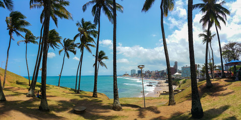 Beautiful view of coconut trees on Barra beach in Salvador Bahia Brazil