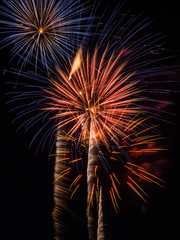 Firework Bursts - Multi Colored