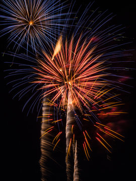 Firework Bursts - Multi Colored