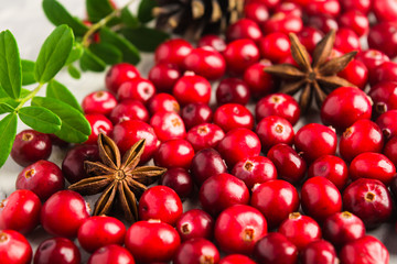 Closeup view of cranberry and star anise over grey background