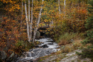 Autumn Waterfall Beauty