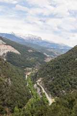 Rocky mountains covered with pine forests 