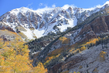 Fall Colors Landscape