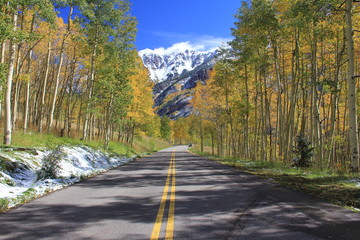 Fall Colors Landscape