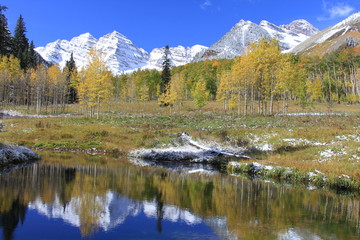 Fall Colors Landscape