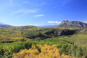 Fall Colors Landscape