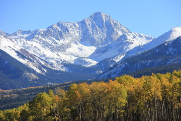 Fall Colors Landscape