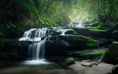 Smooth flowing water over rocks of Leura Cascades in the lush rainforest of Blue Mountains,...