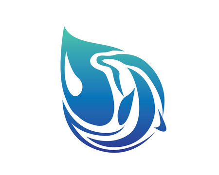 Modern Ocean Dolphin Water Drop Logo