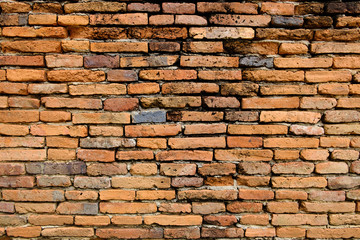 Obraz premium red brick texture wall