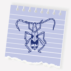 insect doodle