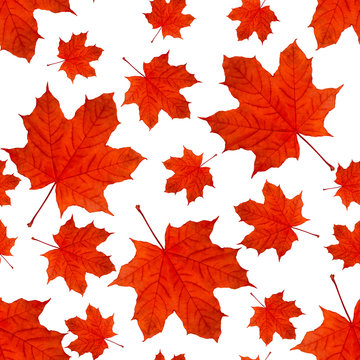 autumn seamless background pattern