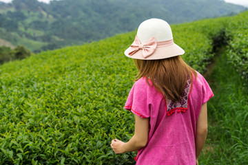 Young asian traveler enjoying tea plantations