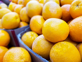 Closeup oranges on a market