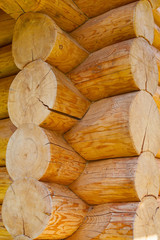 Wooden texture close up