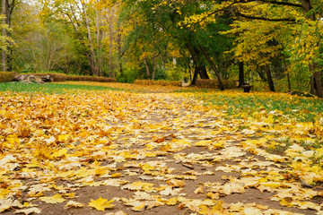 Footpath leading through autumn park